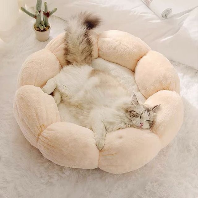 고양이 방석 강아지 휴식 쿠션 부드러운 촉감 4color - 상세 이미지 2