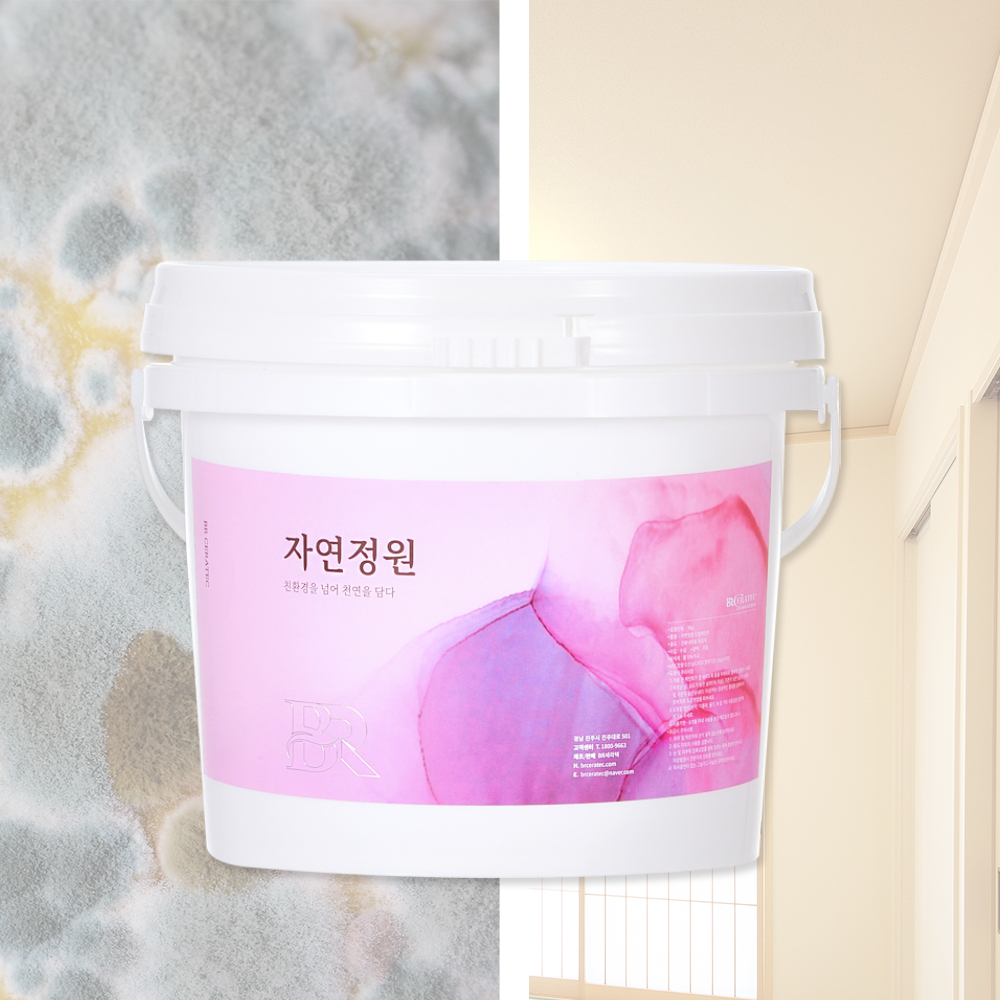 자연정원 결로방지 규조토 단열 페인트 친환경 셀프 베란다 곰팡이 방수 수성 화이트 5kg 제품 이미지