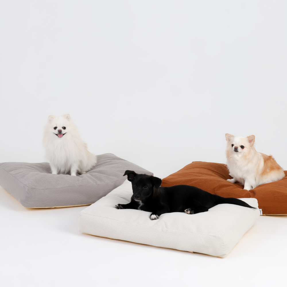캣튜디오 강아지 방석 커버분리 코듀로이 사각 침대 고양이 대형견 방석 L 크림