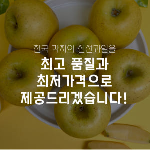 청송사과 문경 시나 시나노골드 사과 시나몬 황금 못난이사과 5kg 맛있게 먹은 솔직 후기 - 상품 이미지 3