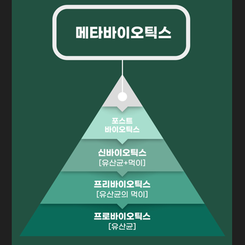 헬씨허그 5세대 메타바이오틱스 유산균 30포 1개월 프로 프리 바이오틱스 사균체 대사산물 - 상세 이미지 4