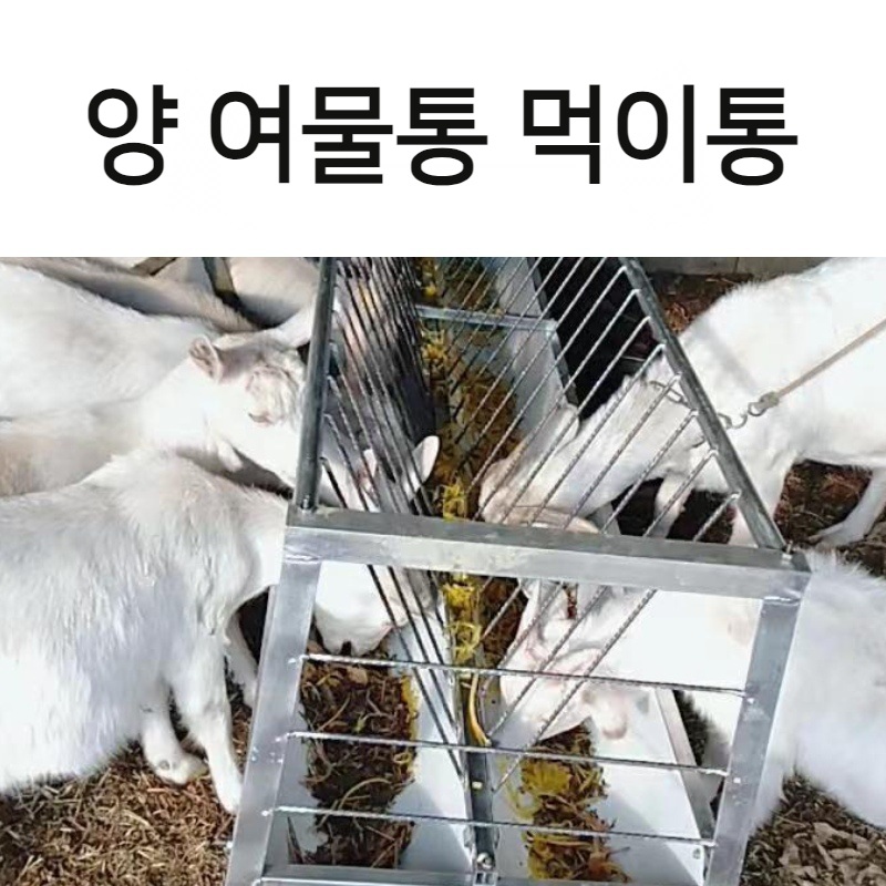 양 먹이통 여물통 양계장 농장 송아지 축사 급여기 사료 급식기 조류 새 모이통 닭 사료통 - 메인 이미지