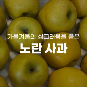 청송사과 문경 시나 시나노골드 사과 시나몬 황금 못난이사과 5kg 맛있게 먹은 솔직 후기 - 상품 이미지 2