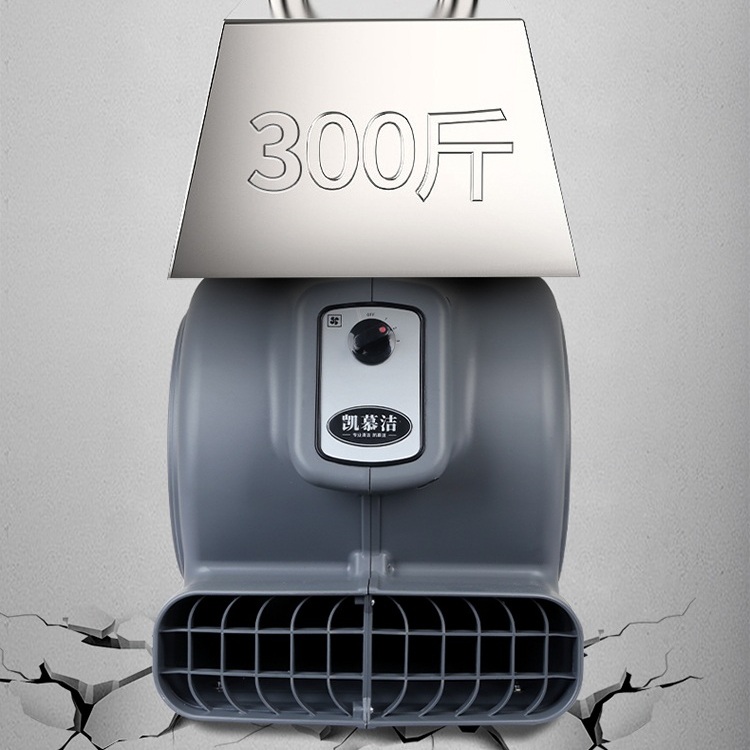 상업용 수영장 바닥 카페트 러그 이동식 대형 건조기 송풍기 제습기 드라이기