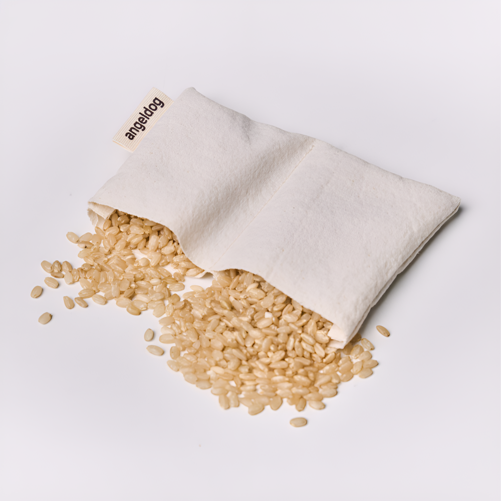 엔젤도그 강아지 패딩 개따뜨텍 숏패딩 겨울옷s