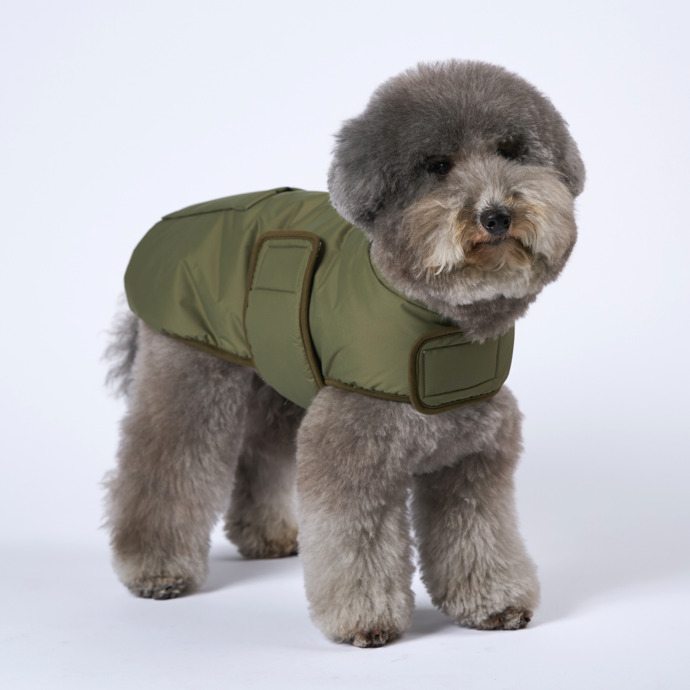 엔젤도그 강아지 패딩 개따뜨텍 숏패딩 겨울옷s