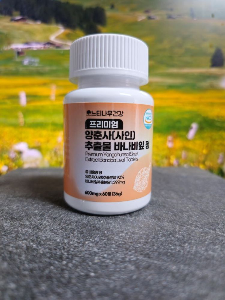 프리미엄 양춘사 추출물 바나바잎정 (소비기한 26.5월) 60정 파격세일 - 메인 이미지