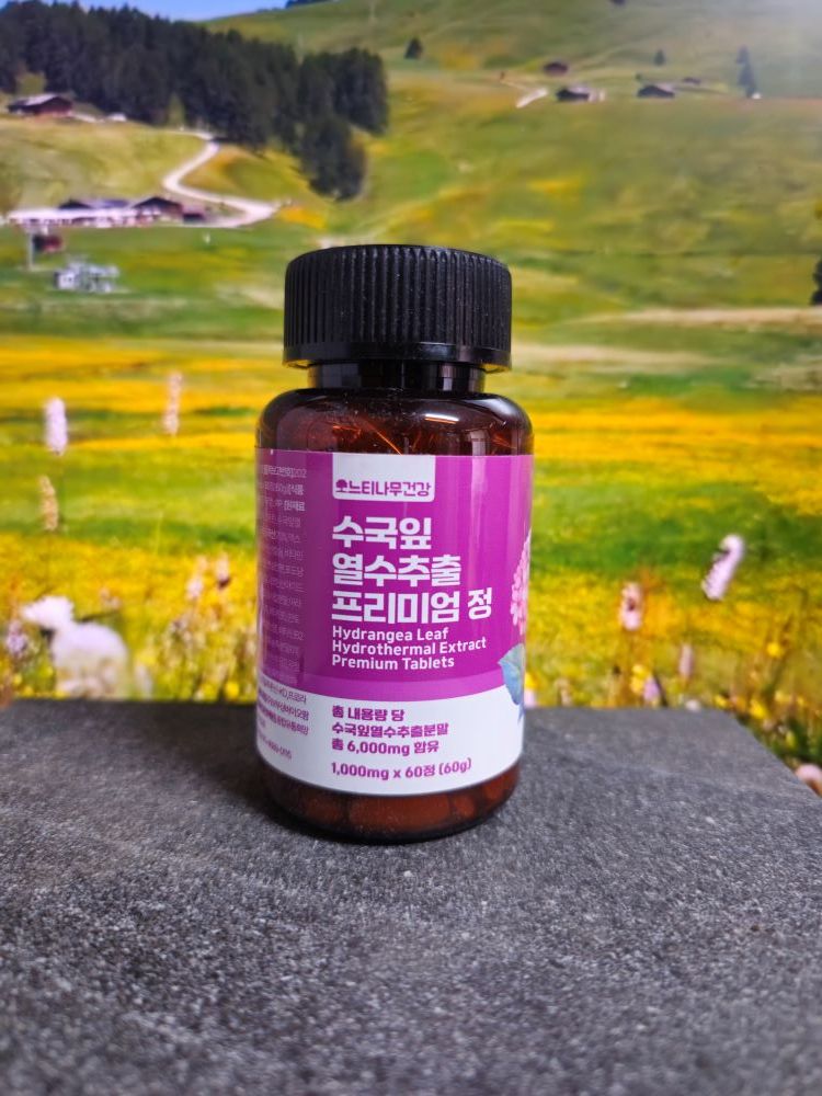 수국잎 열수추출물 프리미엄정 60정 2개월분 반값세일(소비기한 26.5월). 남성양말+행주 제품갯수대로 함께드림