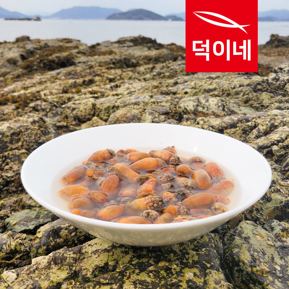 남해안 참 미더덕 400G 횟감 회 덮밥 오만둥이 오만디 신선배송 - 상세 이미지 4