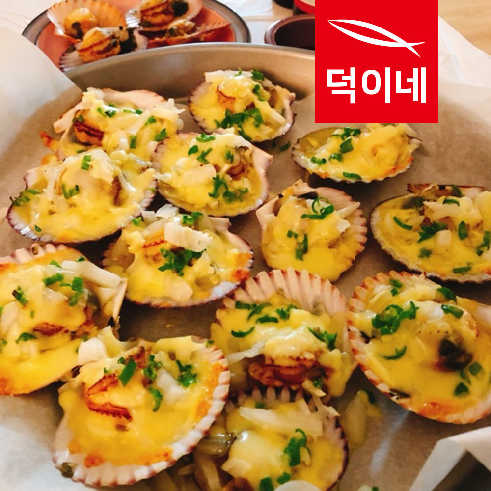 통영 홍가리비 4kg 제철 조개 가리비 구이 - 상세 이미지 4