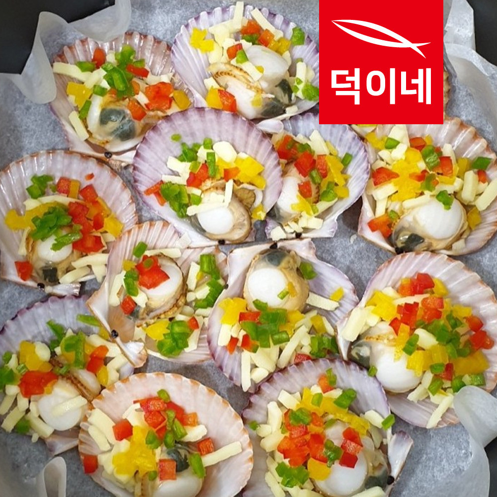 통영 홍가리비 4kg 제철 조개 가리비 구이 - 상세 이미지 2