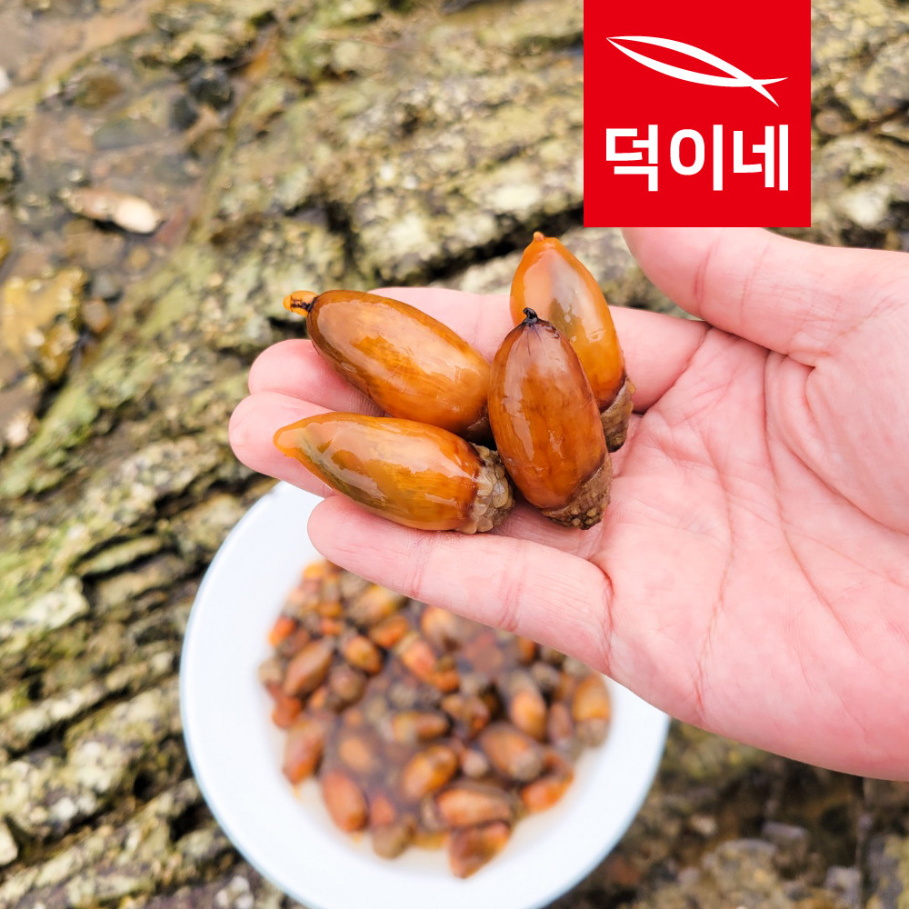 남해안 참 미더덕 400G 횟감 회 덮밥 오만둥이 오만디 신선배송