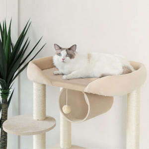 레토 캣타워 프리미엄 캣폴 고양이 놀이터 솔직 후기 | 실제 사용자 리뷰 총정리 - 상품 이미지 2