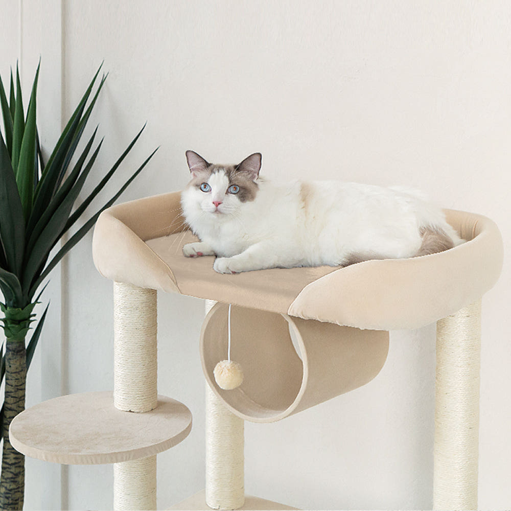 레토 캣폴 지지력