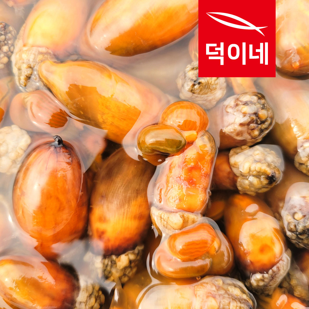 남해안 참 미더덕 400G 횟감 회 덮밥 오만둥이 오만디 신선배송 - 상세 이미지 3