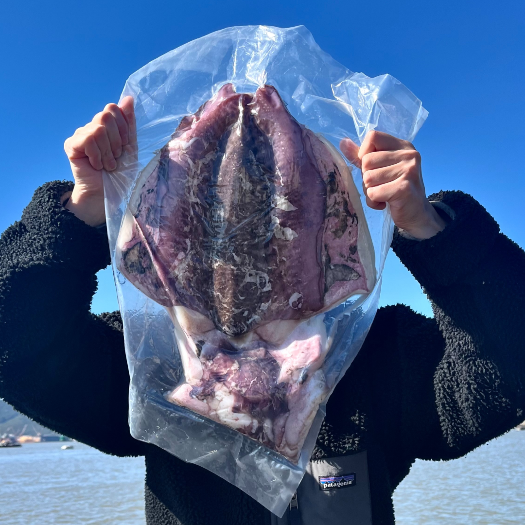 반건조오징어 반건조갑오징어 마른 건어물 피데기 건오징어 건조 오징어