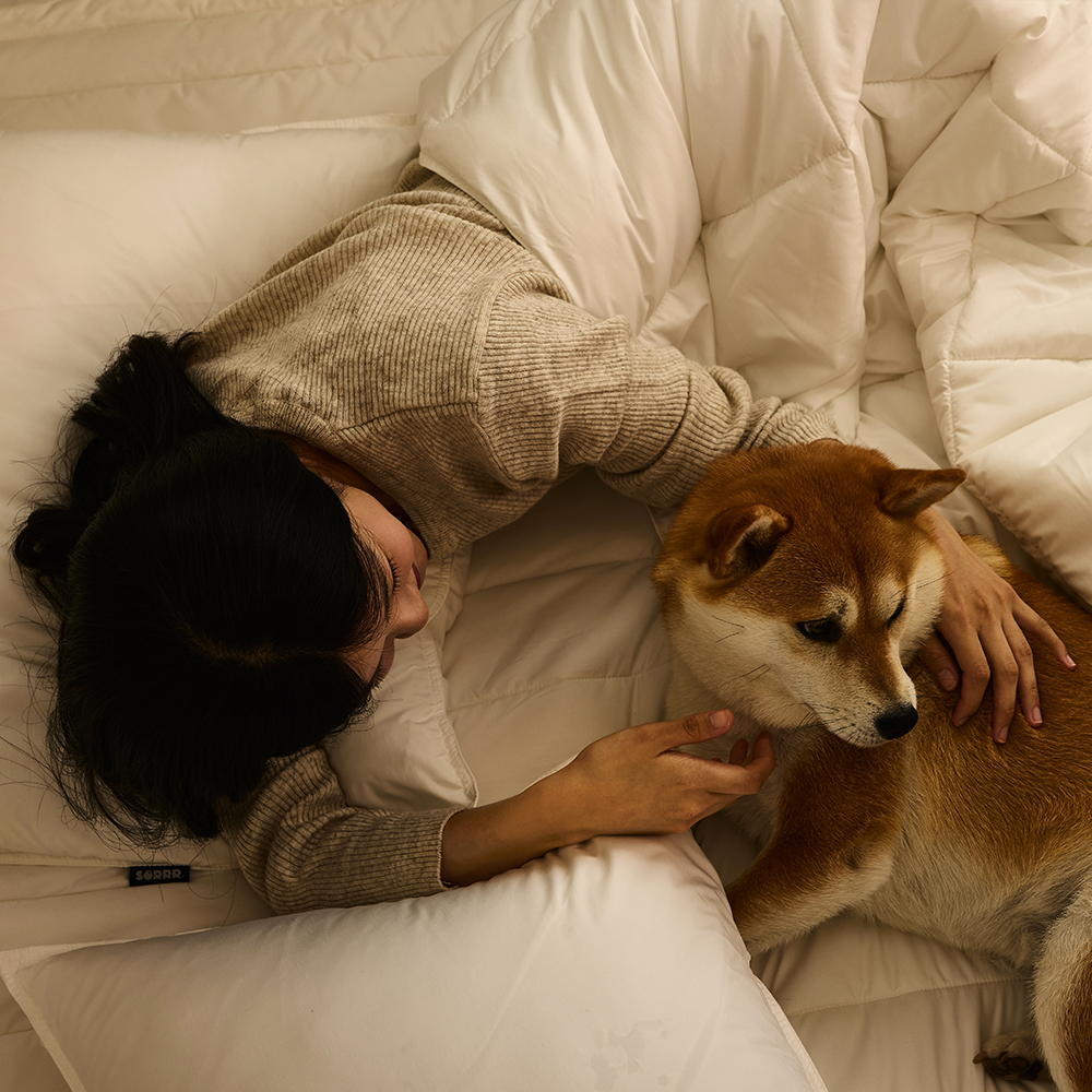 소르르 실키모달 알러지케어 차렵이불 아토피 먼지없는 모달 사계절 이불 화이트 SS