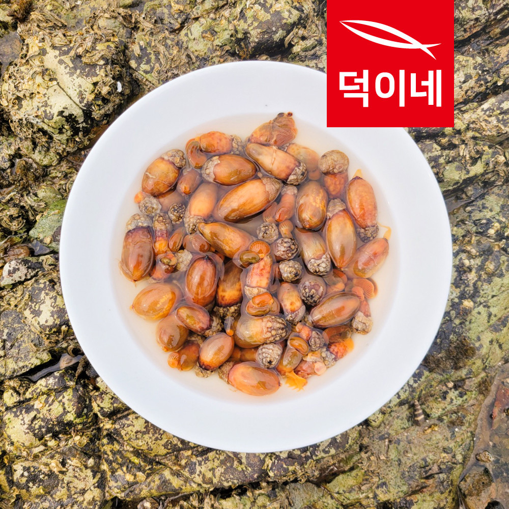 남해안 참 미더덕 400G 횟감 회 덮밥 오만둥이 오만디 신선배송 - 상세 이미지 5
