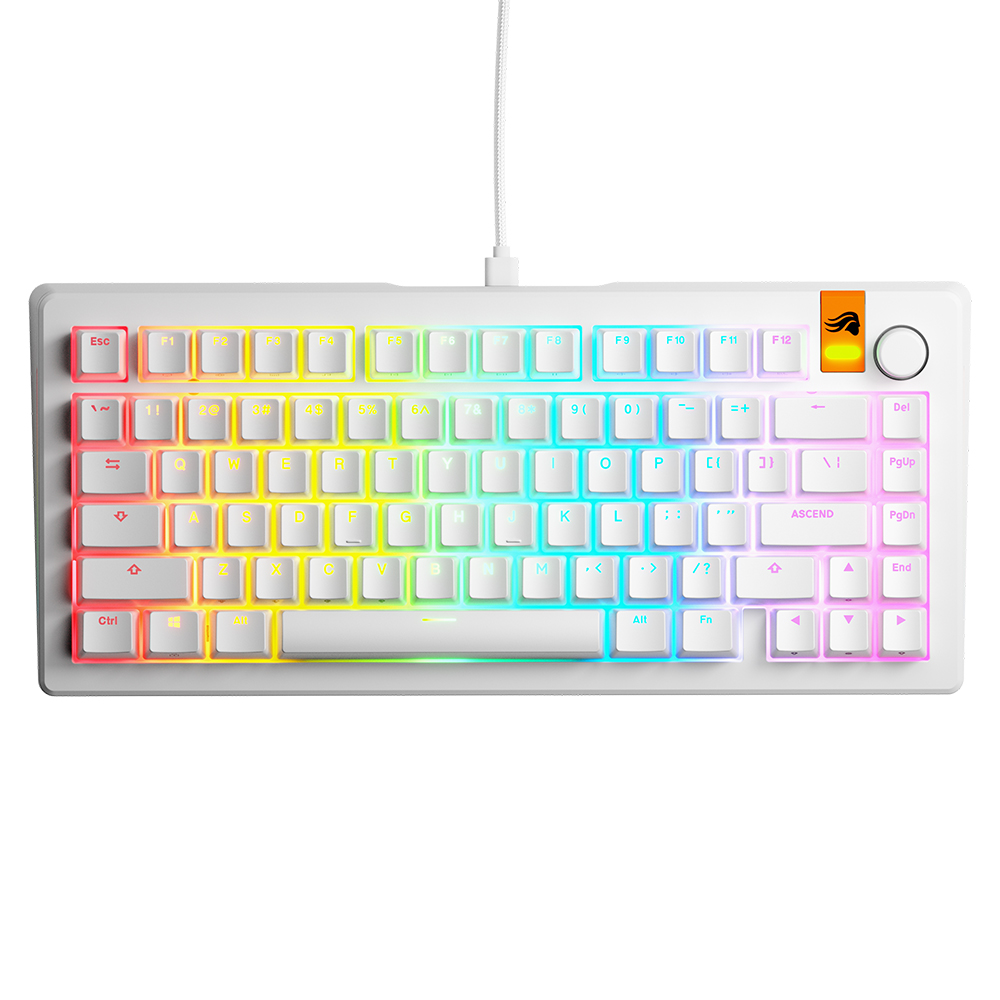글로리어스 GMMK3 HE 75% Prebuilt 커스텀 래피드 트리거 유선 게이밍 키보드(블랙/화이트) 이미지 6