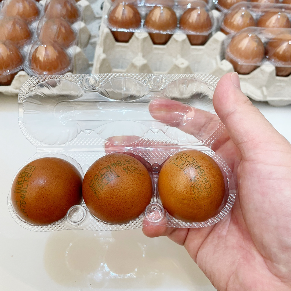 파손보호 케이스 훈제란 30구 군계란 맥반석 구운란 구운계란 대란 무항생제 쫄깃한 달걀 - 상세 이미지 2
