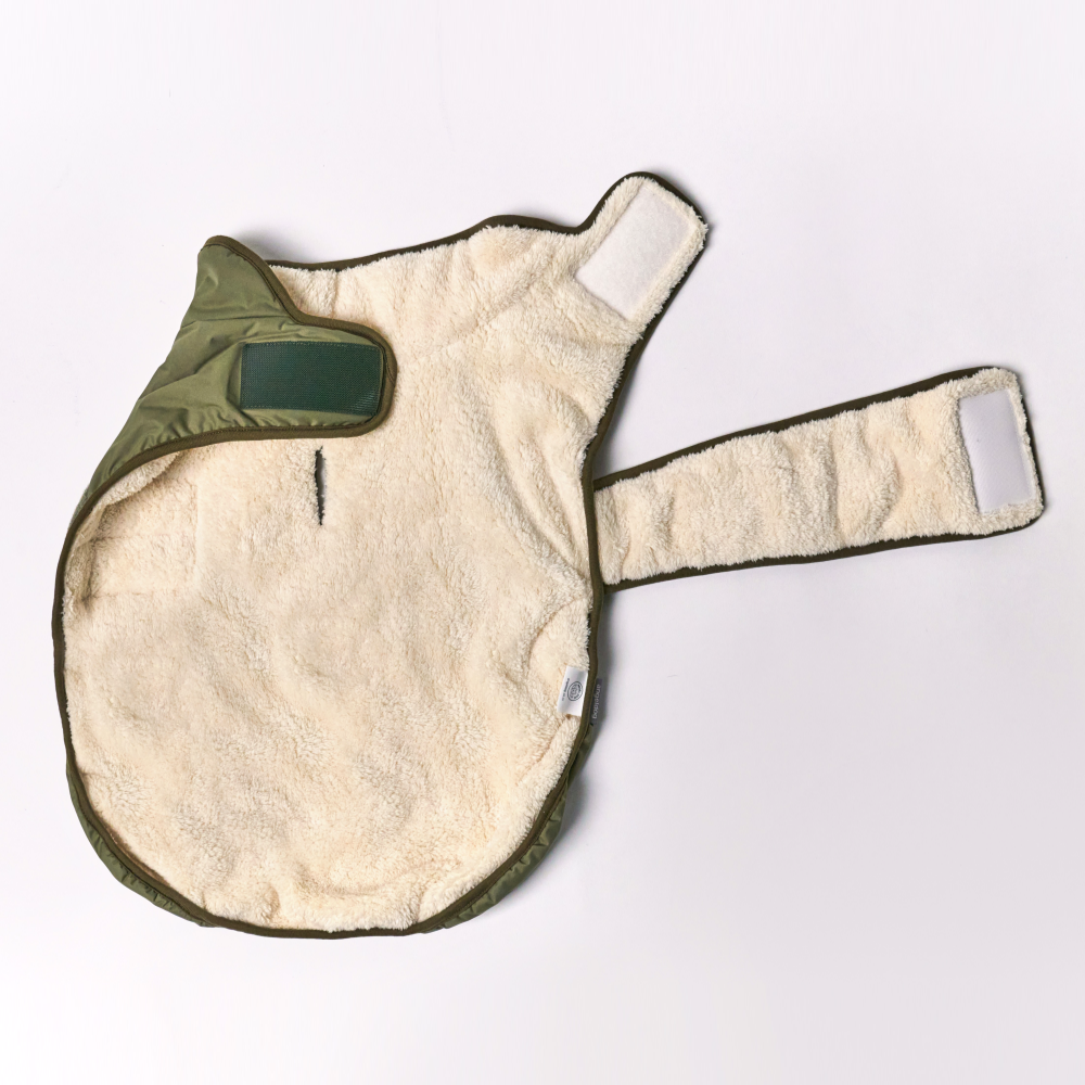 엔젤도그 강아지 패딩 개따뜨텍 숏패딩 겨울옷s