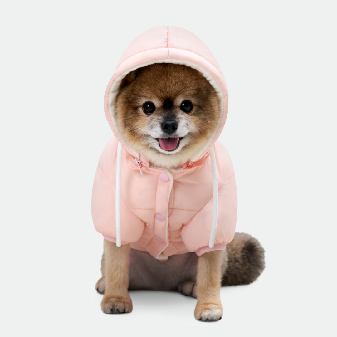 네오핏 소프트 구름 강아지패딩 애견점퍼 겨울옷 양면패딩 소형견 겨울산책 - 상세 이미지 2