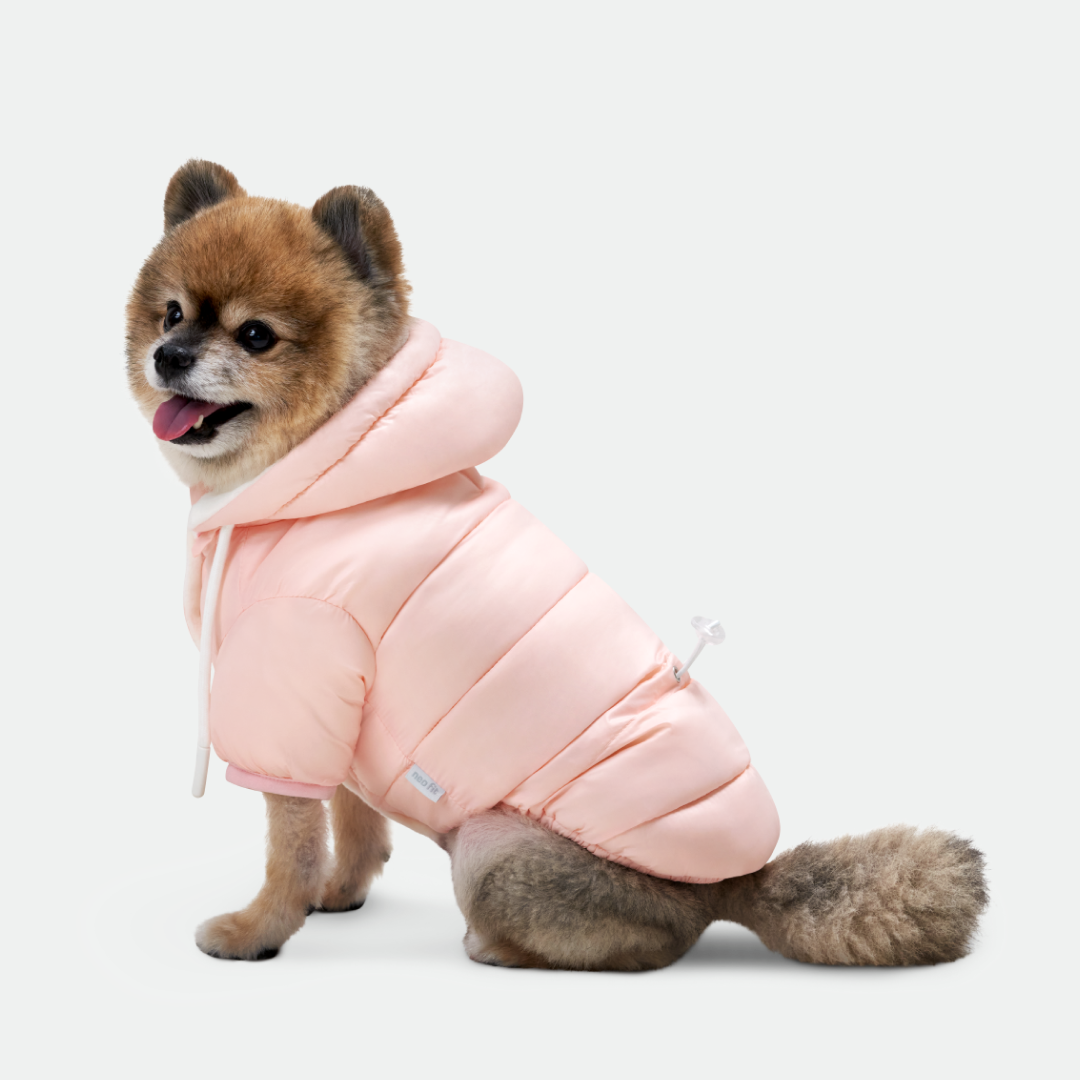 네오핏 소프트 구름 강아지패딩 애견점퍼 겨울옷 양면패딩 소형견 겨울산책 - 상세 이미지 5