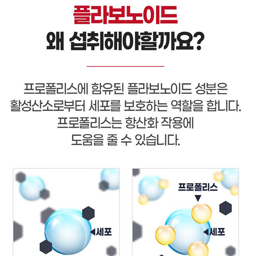 인사덴티 골드 2개월분 뼈 건강 식물성 해조 칼슘 프로폴리스 추출물 항산화 임산부 이미지 6
