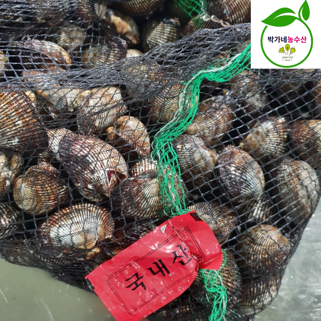 제철 피꼬막 새꼬막 3kg (45-60미내외) 피조개 벌교 - 상세 이미지 2