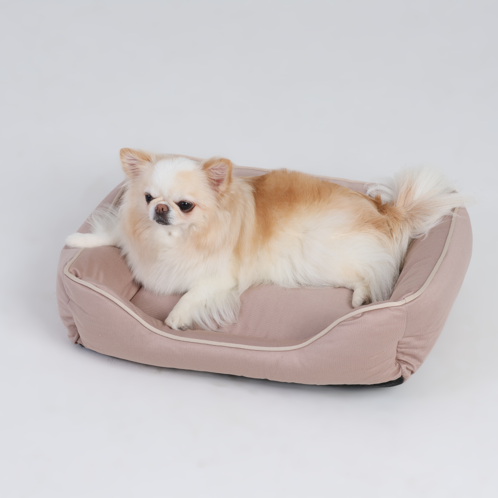 캣튜디오 강아지 방석 고양이 쿠션 커버분리 사계절 방석 M