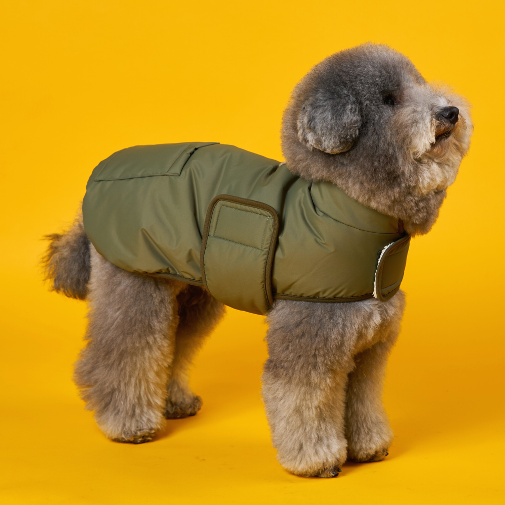 엔젤도그 강아지 패딩 개따뜨텍 숏패딩 겨울옷s