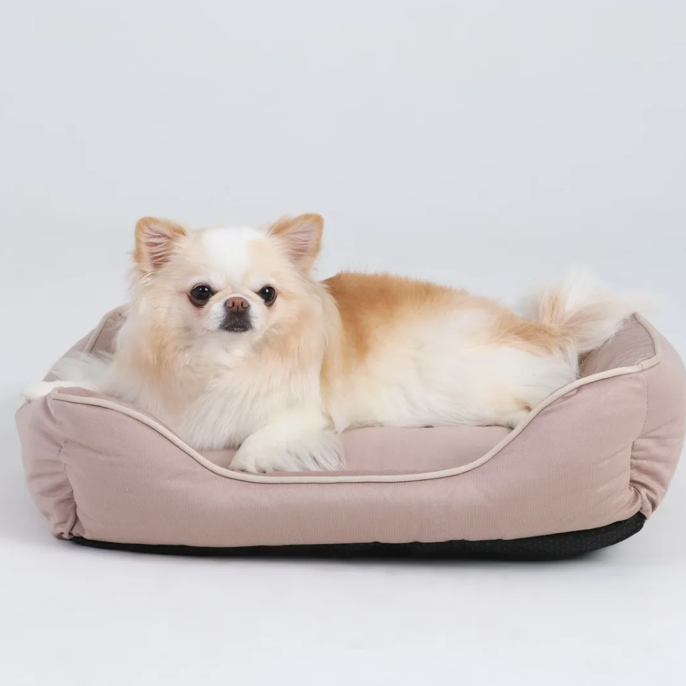 캣튜디오 강아지 방석 고양이 쿠션 커버분리 사계절 방석 M