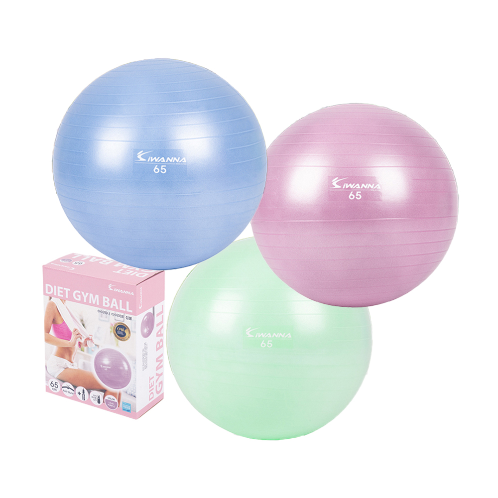 아이워너 짐볼 안티버스트 요가볼 스트레칭 필라테스볼 미니펌프 세트 65cm - 상품 이미지