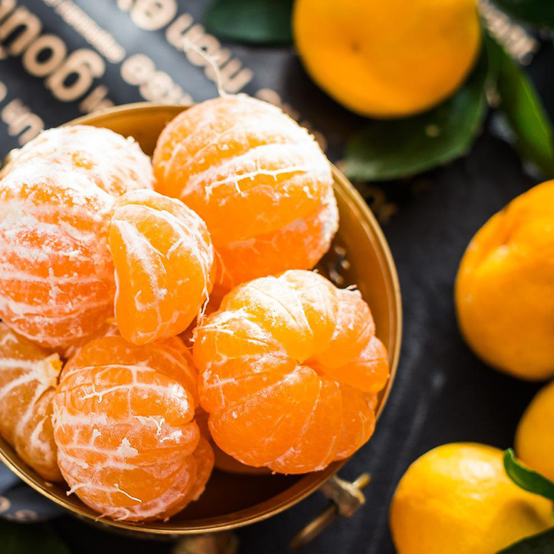 제주 햇살가득 노지 하우스 감귤 달콤 상큼 추석 선물세트 가정용 간식