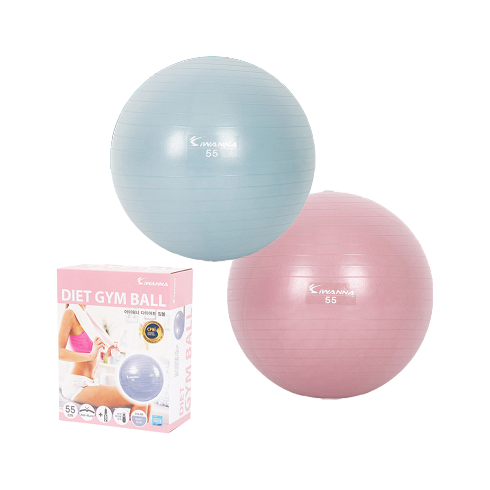 아이워너 짐볼 안티버스트 요가볼 스트레칭 필라테스볼 미니펌프 세트 55cm - 상품 이미지