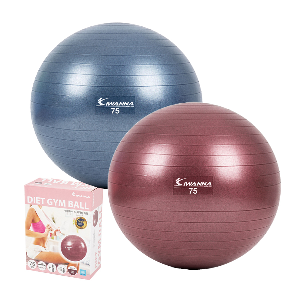 아이워너 짐볼 안티버스트 요가볼 스트레칭 필라테스볼 미니펌프 세트 75cm - 상품 이미지