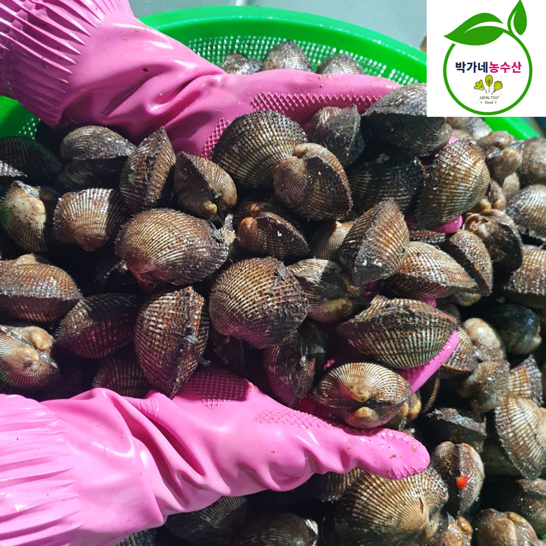 제철 피꼬막 새꼬막 3kg (45-60미내외) 피조개 벌교 - 상품 이미지