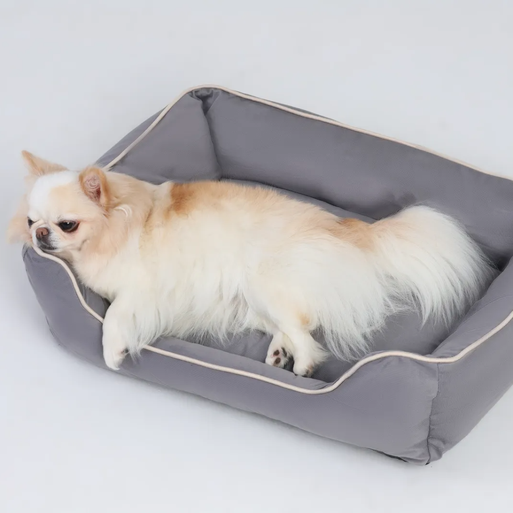 캣튜디오 강아지 방석 고양이 쿠션 커버분리 사계절 방석 M