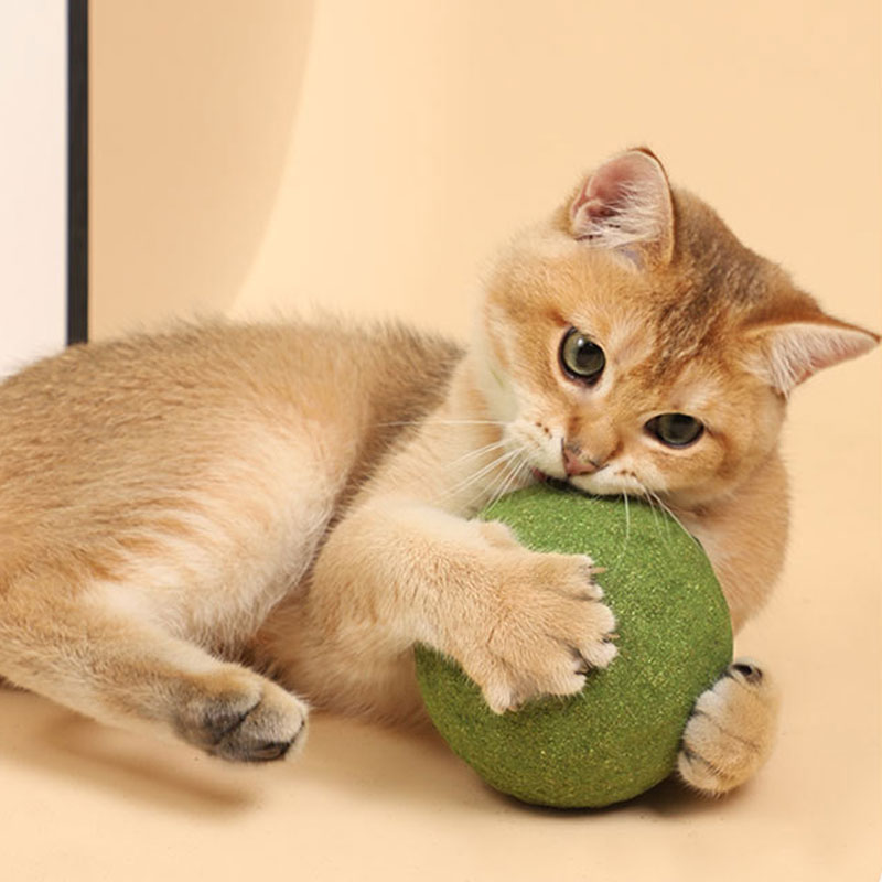 크레용펫 고양이 캣닢 대왕 볼 캣닙 10cm - 상세 이미지 5