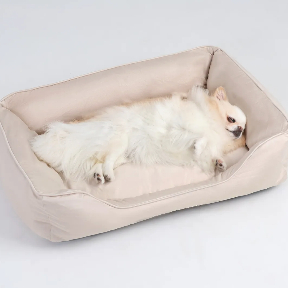 캣튜디오 강아지 방석 고양이 쿠션 커버분리 사계절 방석 M