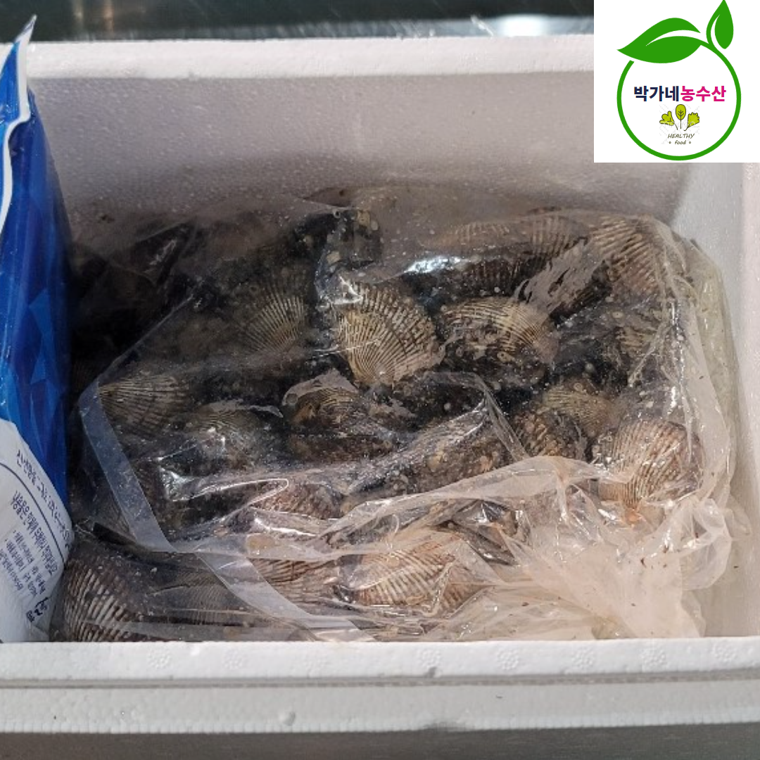 제철 피꼬막 새꼬막 3kg (45-60미내외) 피조개 벌교 이미지 6