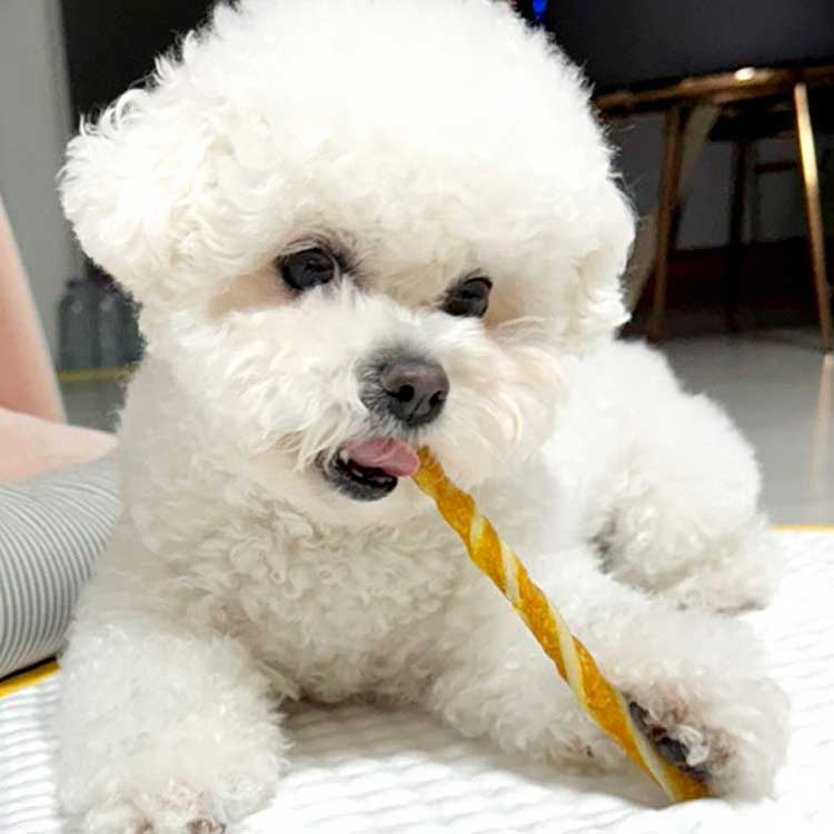 헬로도기 강아지치석껌 소형견간식 강아지덴탈껌대용량 10P - 상세 이미지 5