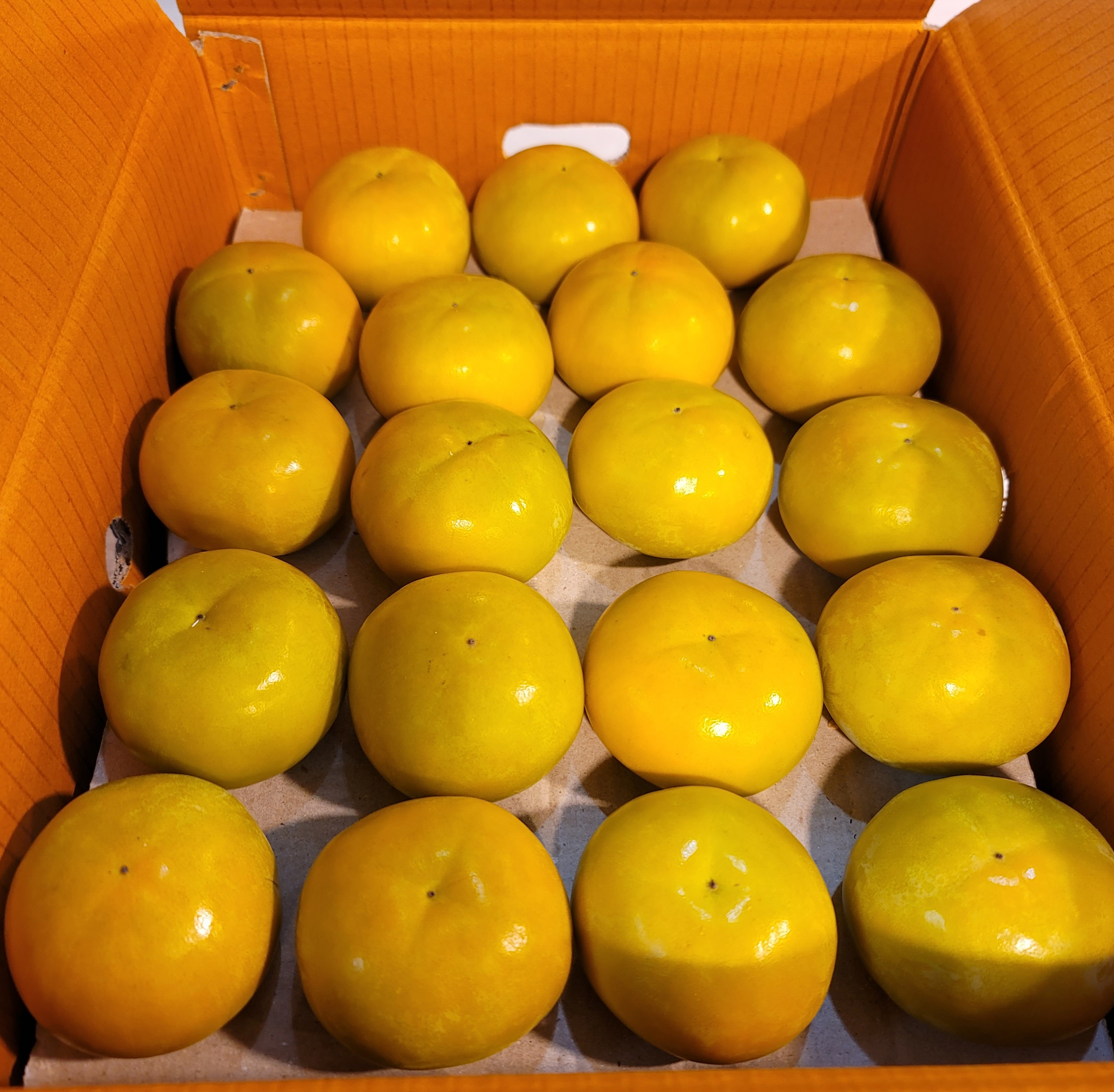땡감 단감 5kg, 1개 - 상세 이미지 5
