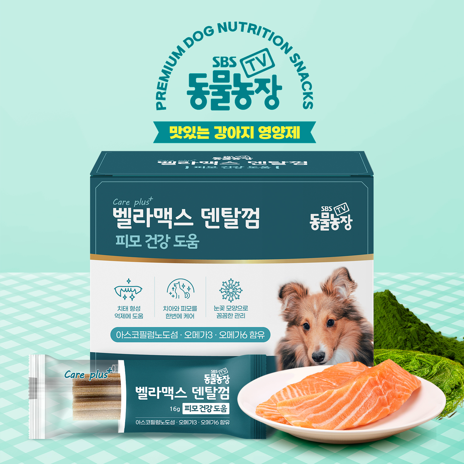 벨라맥스 SBS TV 동물농장 수의사 강아지 영양제 치아 관리 덴탈껌, 160g, 1개
