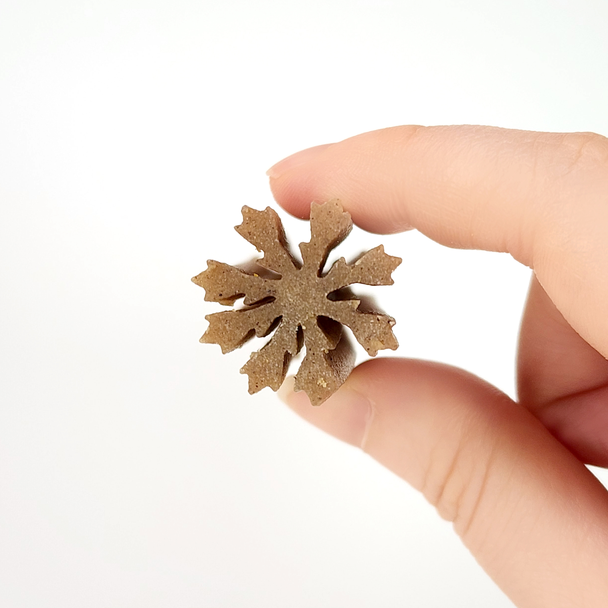 벨라맥스 SBS TV 동물농장 수의사 강아지 영양제 치아 관리 덴탈껌, 160g, 1개