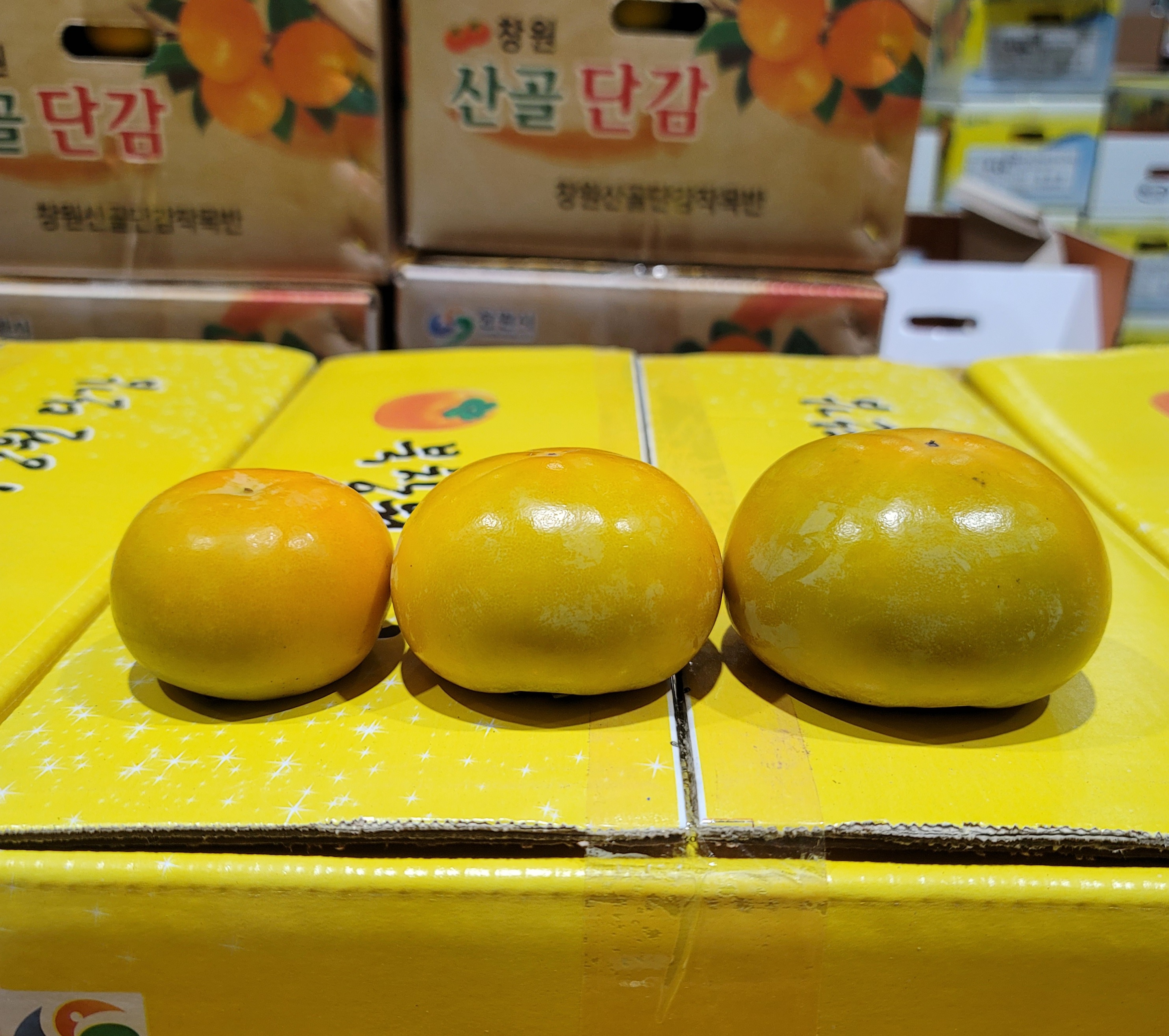 땡감 단감 1kg, 5개 이미지 8