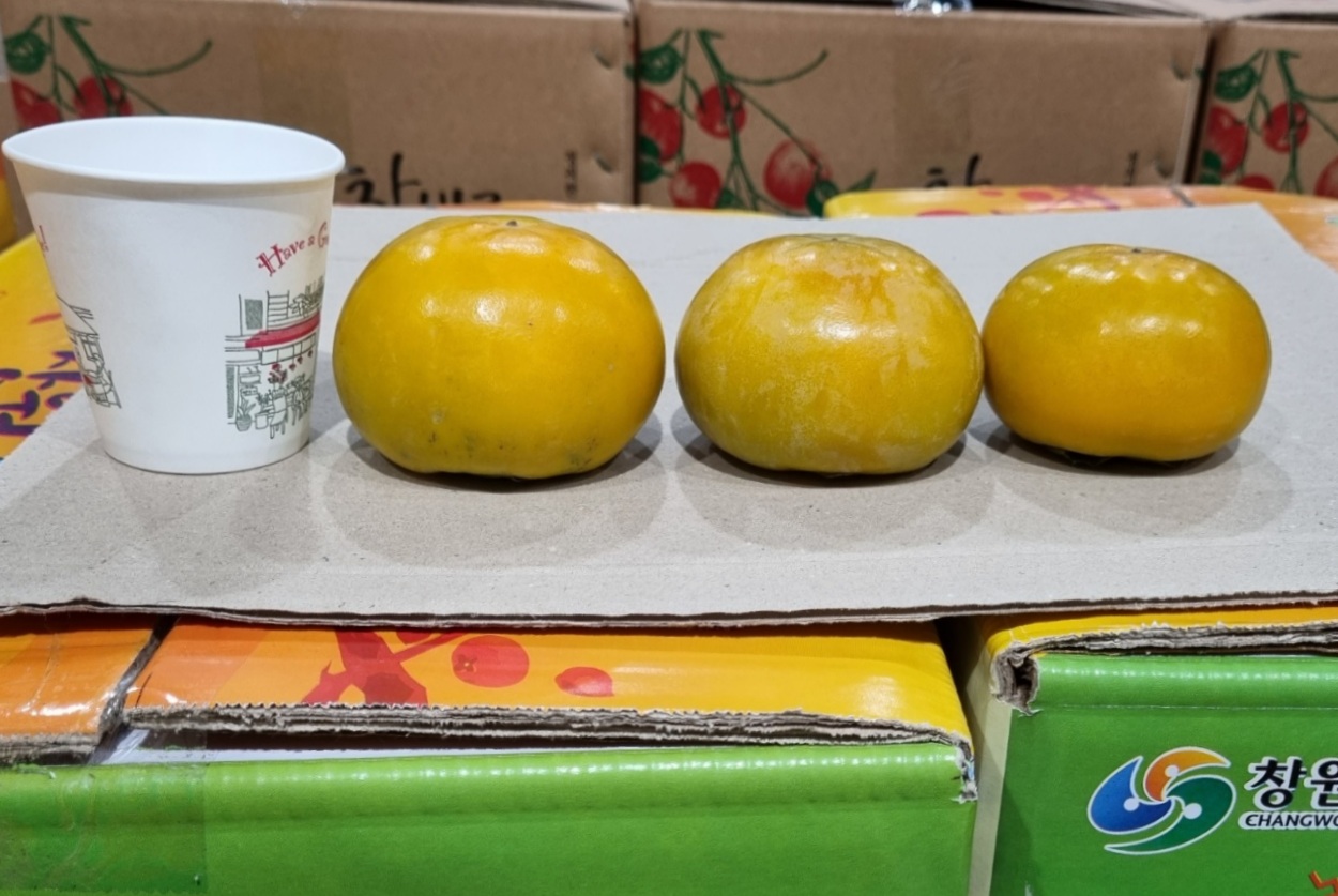 땡감 단감 1kg, 5개 이미지 7