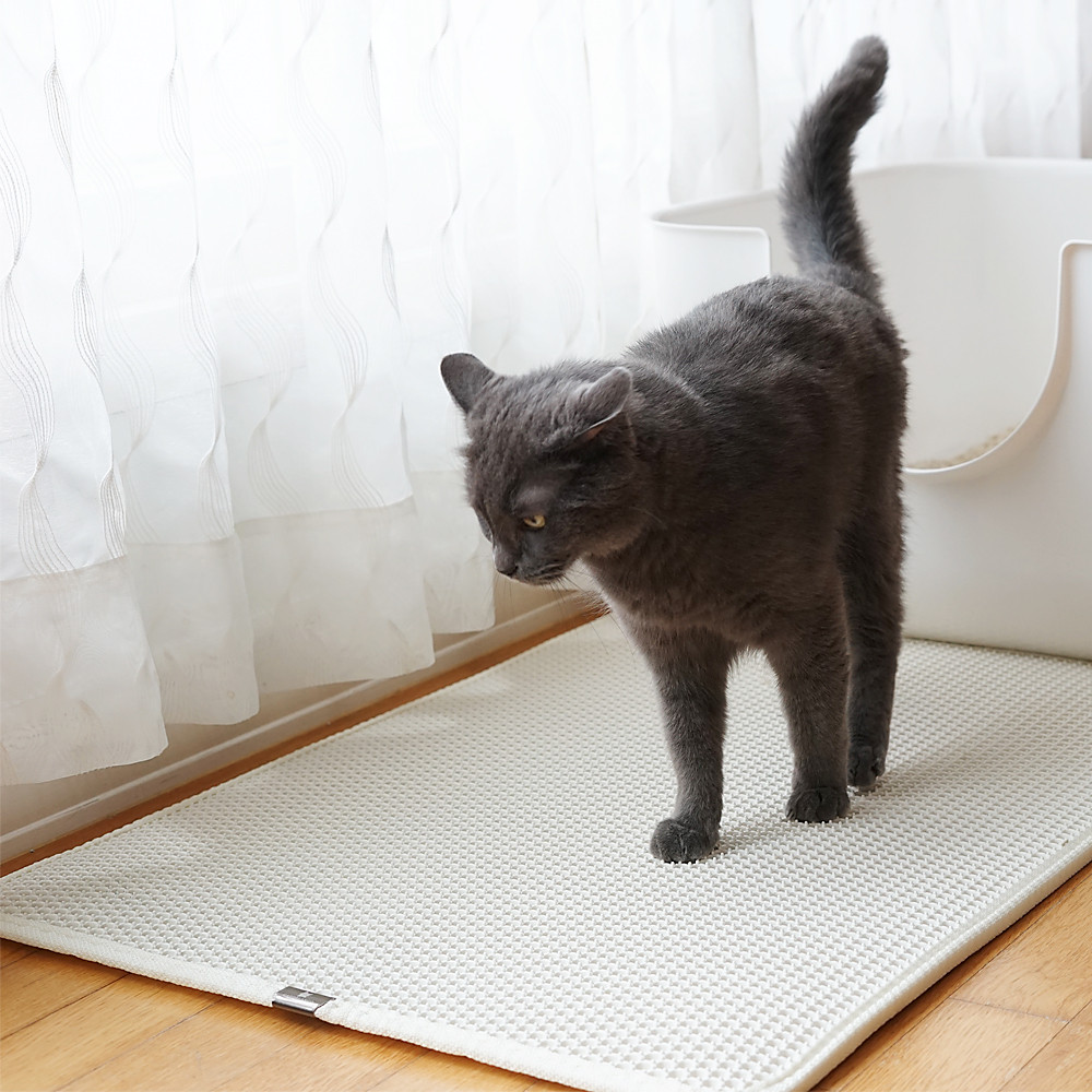 고양이 사막화방지 감자 모래매트