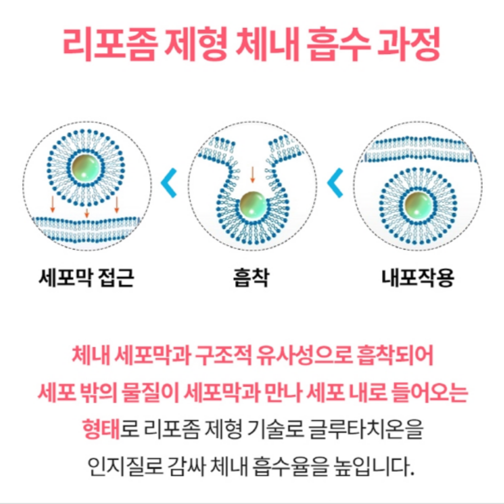 알약 리포좀 글루타치온 2병 - 상세 이미지 4