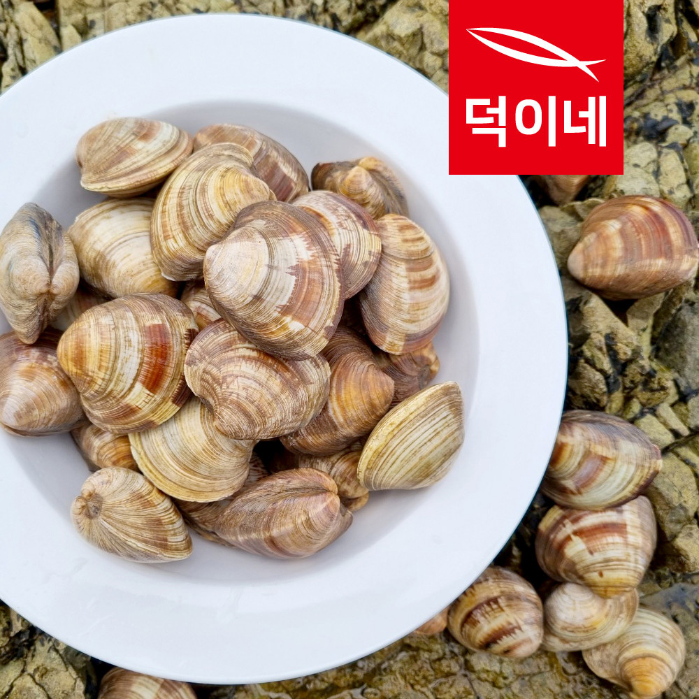 통영할매 백생합 백합 상합 백상합 1kg - 상세 이미지 4